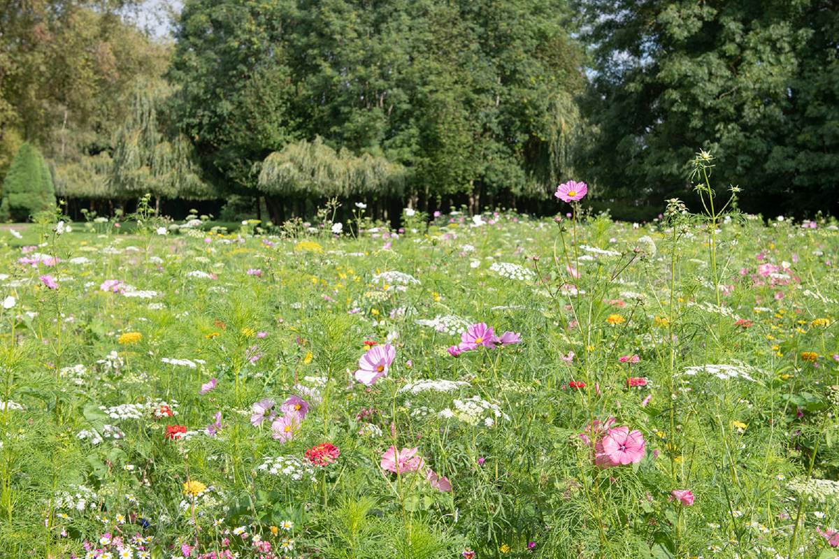 Sustainable events in York.